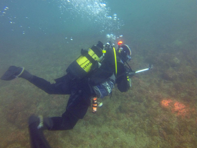 Diving Life - Dive Center in Spain