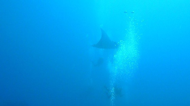 Buceo Sub La Palma - Dive Center in Spain