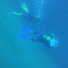 Picture taken during the dive