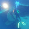 Picture taken during the dive