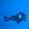 Picture taken during the dive