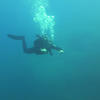 Picture taken during the dive