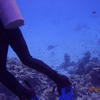 Picture taken during the dive