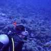 Picture taken during the dive
