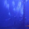 Picture taken during the dive