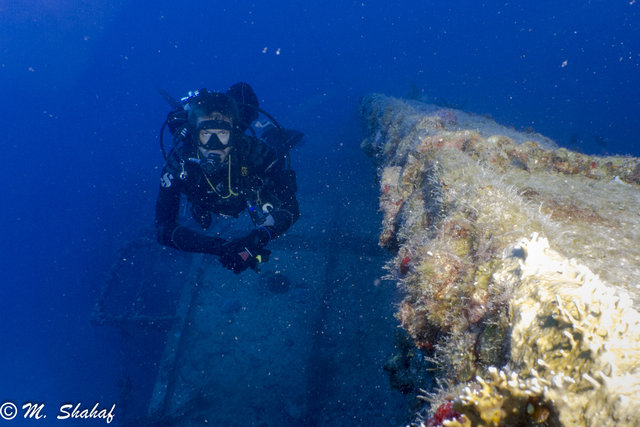 Diving in Marathon, United States - By Stewie