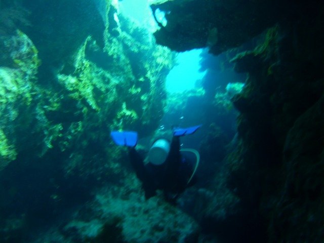 Cape Eleuthera Divers - Dive Center in Bahamas