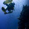 Picture taken during the dive