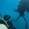 Picture taken during the dive