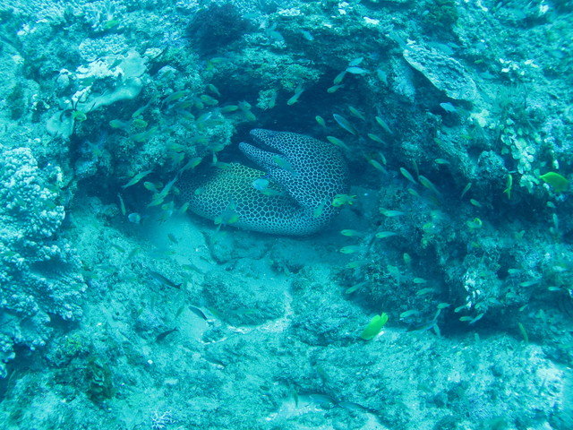 Sodwana Bay Lodge Scuba Centre - Dive Center in Afrique du Sud