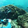 Picture taken during the dive