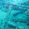 Picture taken during the dive