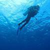 Picture taken during the dive