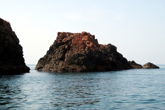 Goa Aquatics - Dive Center