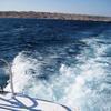 Picture taken during the dive