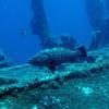 Picture taken during the dive