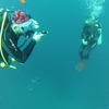 Picture taken during the dive