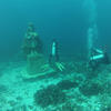 Picture taken during the dive