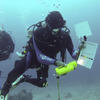 Picture taken during the dive