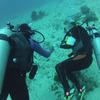 Picture taken during the dive