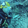 Picture taken during the dive