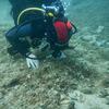 Picture taken during the dive