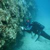 Picture taken during the dive