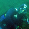 Picture taken during the dive