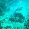 Picture taken during the dive