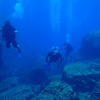 Picture taken during the dive