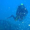 Picture taken during the dive