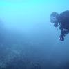 Picture taken during the dive
