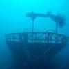 Picture taken during the dive