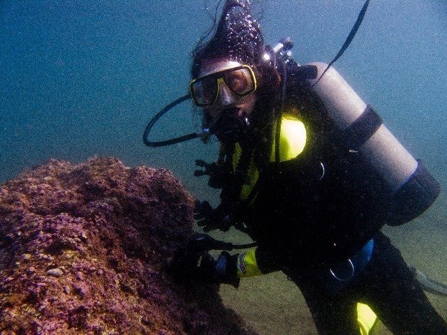 Calypso Diving Club - Dive Center in Belgium