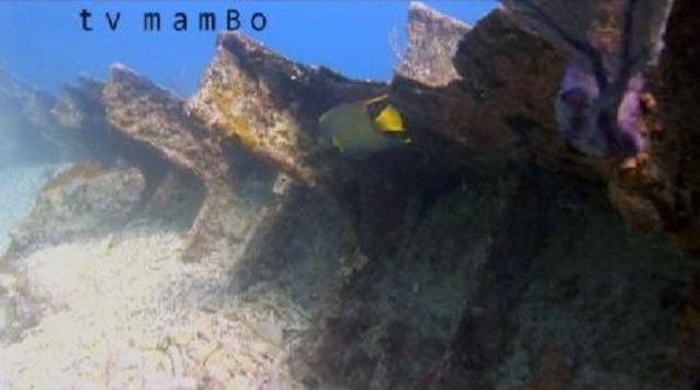Pirate Island Key Largo - Dive Center in United States