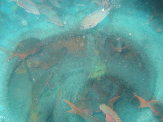 Tienda De Buceo El Rodadero - Dive Center in Colombia