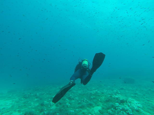 Ali Sub - Dive Center in Spain
