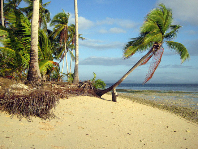 Tarvis Dive Center - Dive Center in Philippines