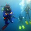 Picture taken during the dive
