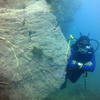 Picture taken during the dive