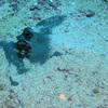 Picture taken during the dive