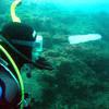 Picture taken during the dive
