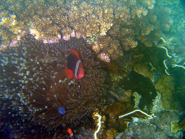 Fishermen Dive Centre - Dive Center in Malaysia