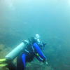 Picture taken during the dive