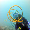 Picture taken during the dive