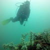 Picture taken during the dive