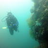Picture taken during the dive