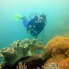 Picture taken during the dive