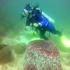 Picture taken during the dive