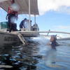 Picture taken during the dive
